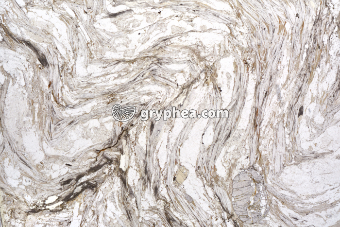 Micaschiste à sillimanite LPNA x1,8 - gryphea.com